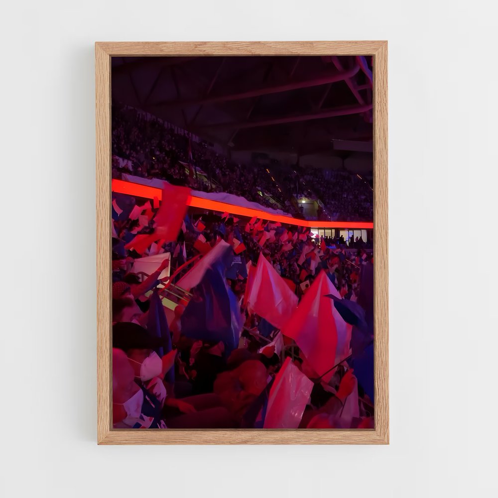 Poster Adler mannheim – affiche Hockey sur glace (vue 4)